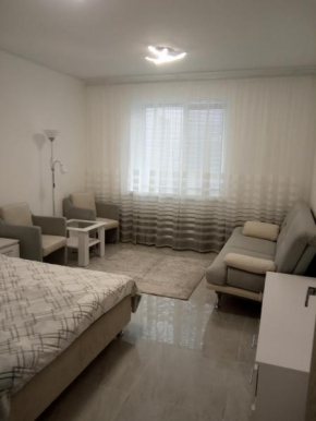 Modern fresh-new appartment near the park Sofievka